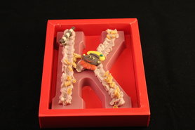 Chocolade Letter Ruby 250 gram – Het Bonbon Geheim