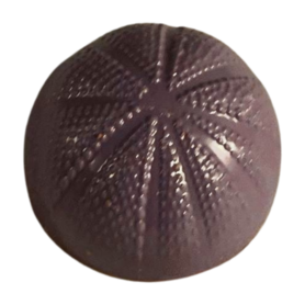 Kersen Cognac Bonbon – Pure Chocolade met Kersenpuree | Het Bonbon Geheim